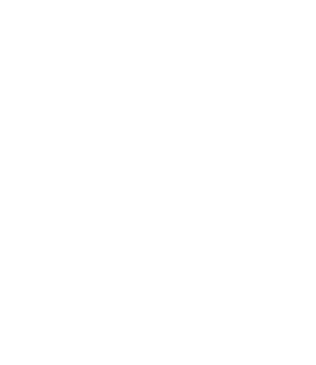 cat baby on board